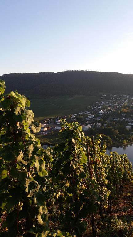 Gaestehaus-Weingut Michael Scholer Hotell Schleich Exteriör bild